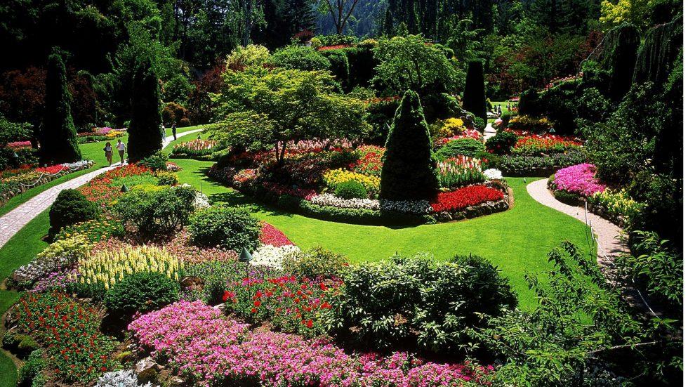 Types of Landscaping Styles