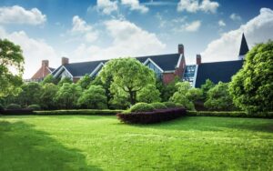 A beautiful landscape design for a luxury Dubai residential villa.