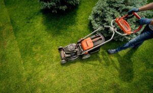 landscape design companies in Dubai