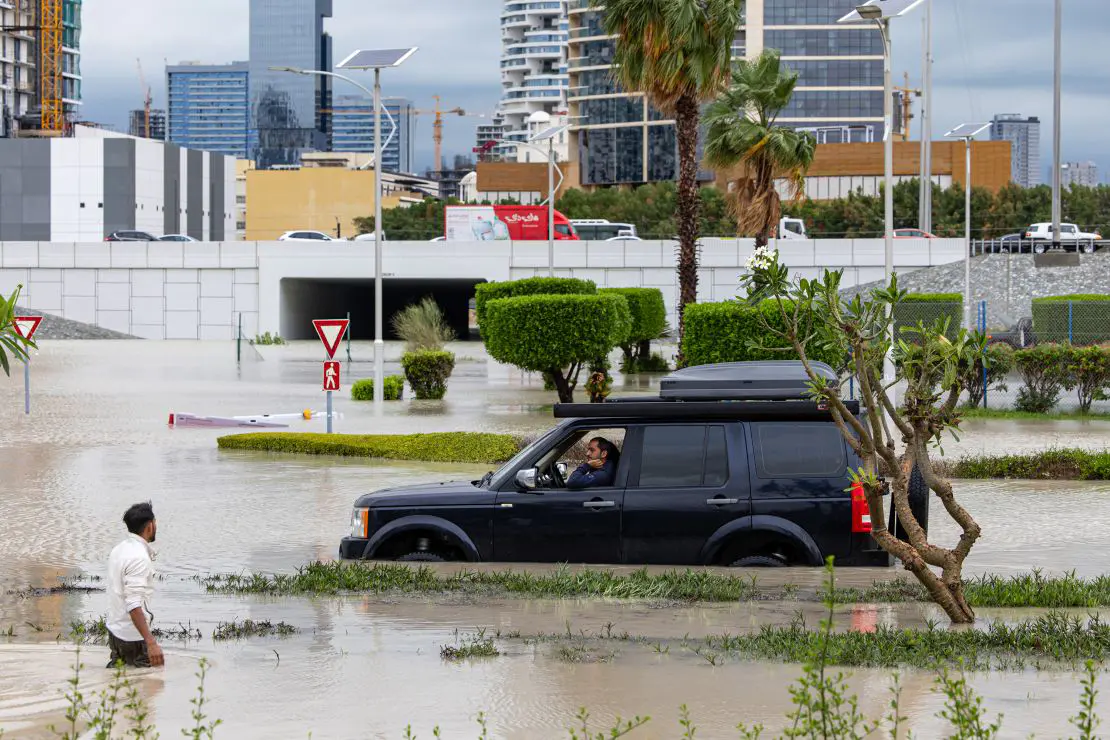 Restoring Your Landscape After a Flood: Essential Steps and Tips