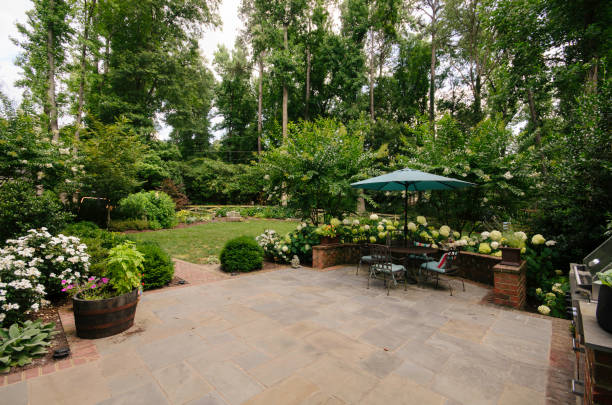 Smart & Sustainable Landscaping for UAE Homes
