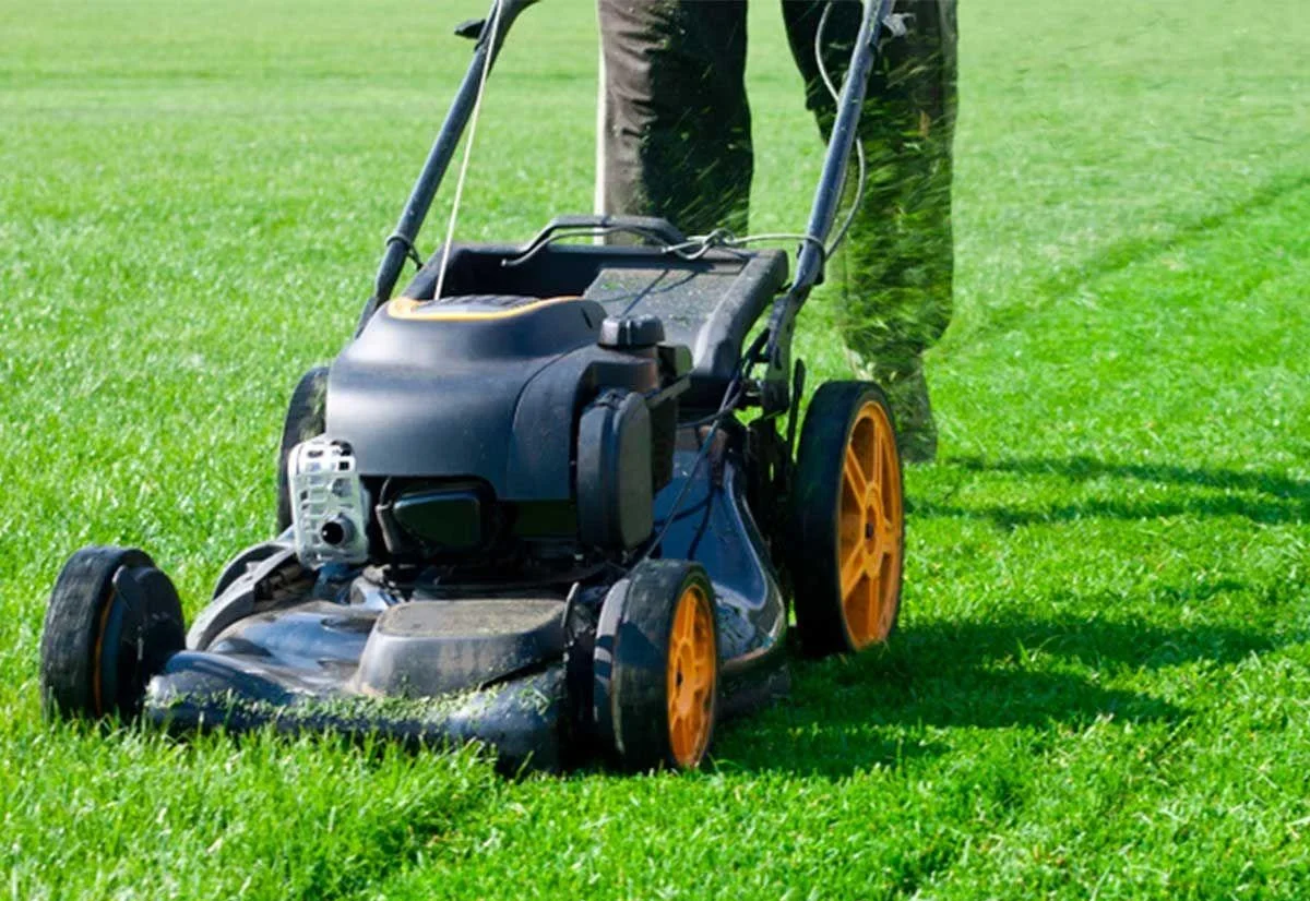 garden maintenance in Dubai