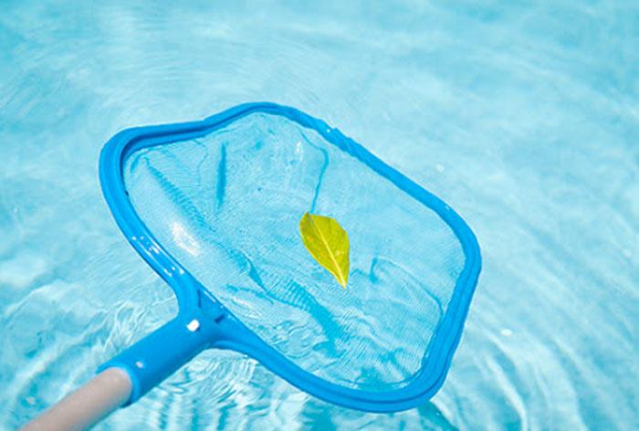 Swimming Pool and Landscape Maintenance in Dubai
