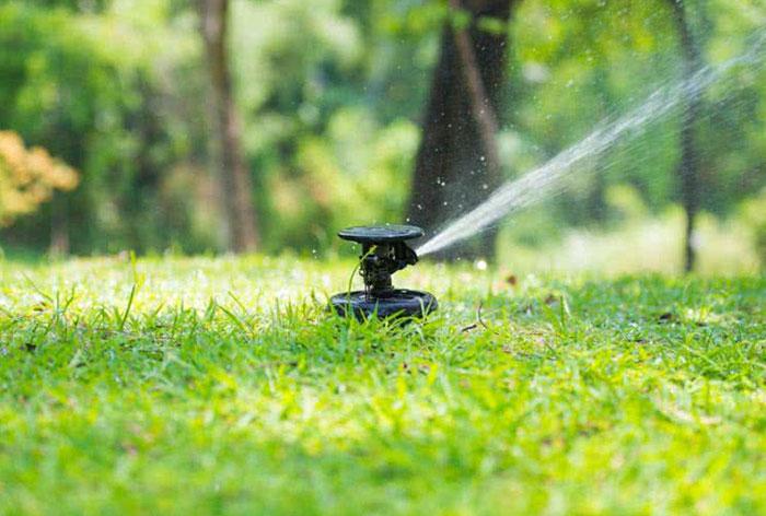 Garden maintenance Dubai