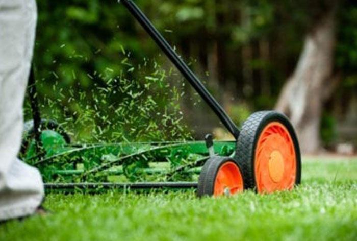Swimming Pool and Landscape Maintenance in Dubai